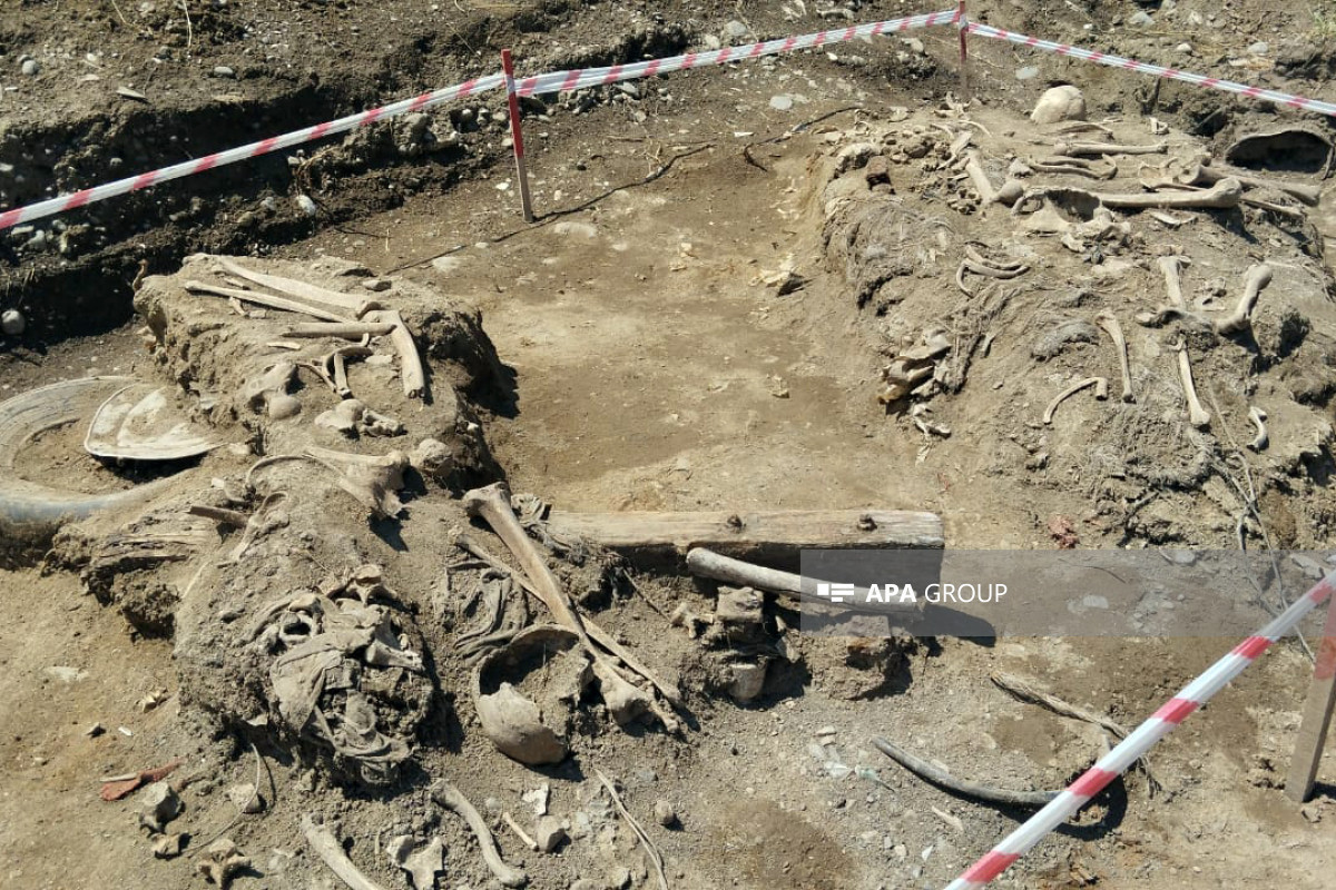Azerbaijan discovers skull bone in liberated Gubadli - Vimarsana News