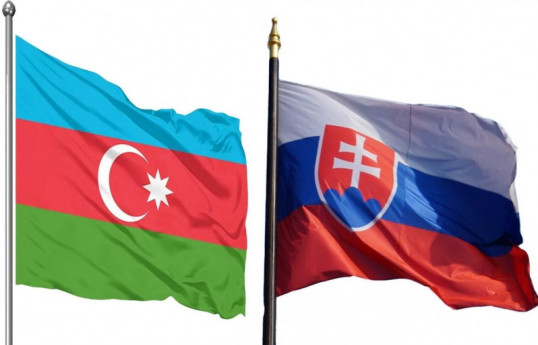 Azerbaijani, Slovak companies sign memorandums of cooperation