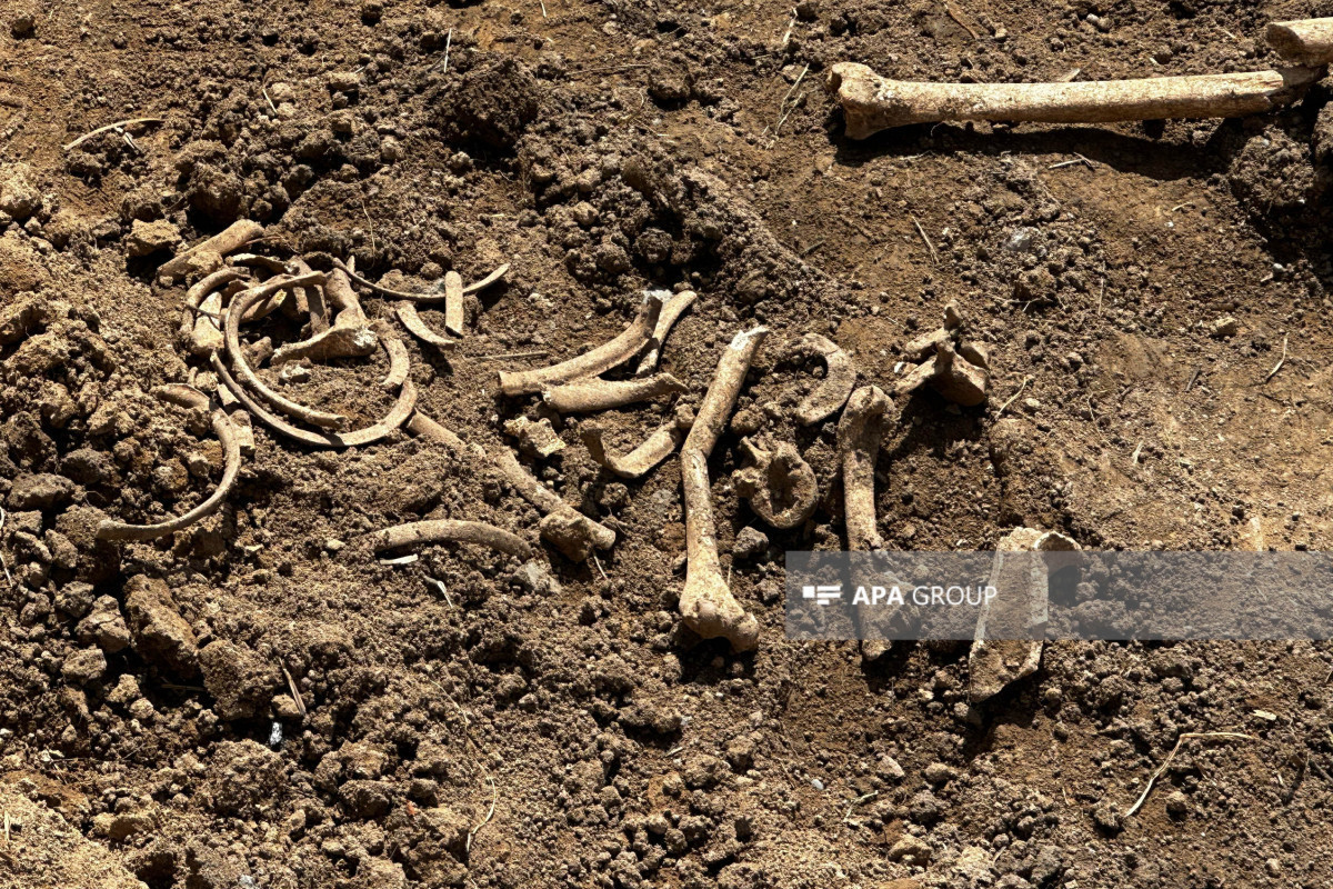Azerbaijan discovers bone fragments in liberated Malibeyli village