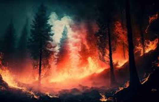 Canada updates 2024 wildfire season projections