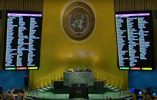 United Nations General Assembly backs Palestinian bid for membership