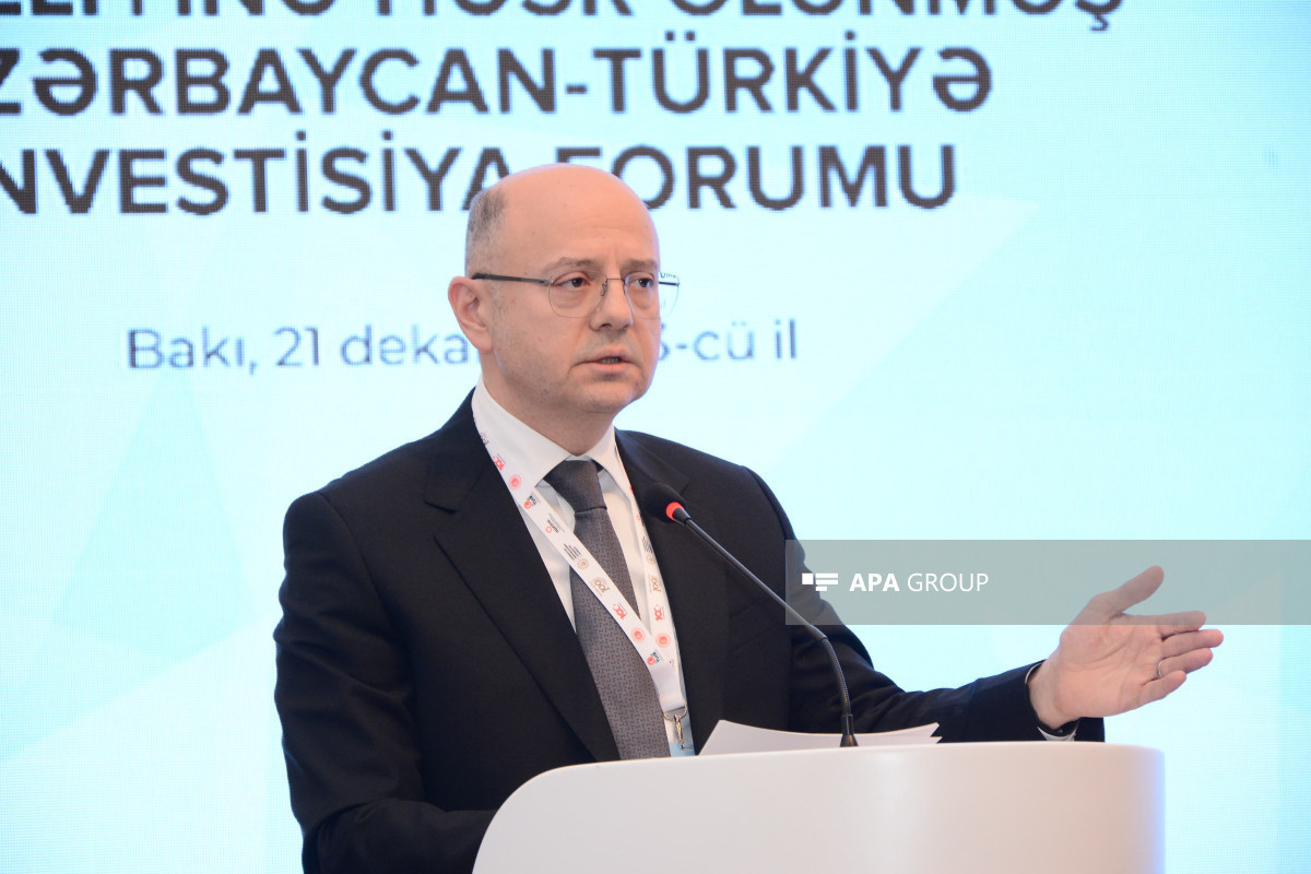 Volume of exported gas reached 8.5 bcm, says Azerbaijan's Energy Minister