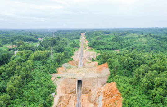 First elephant overpass in South Asia is built