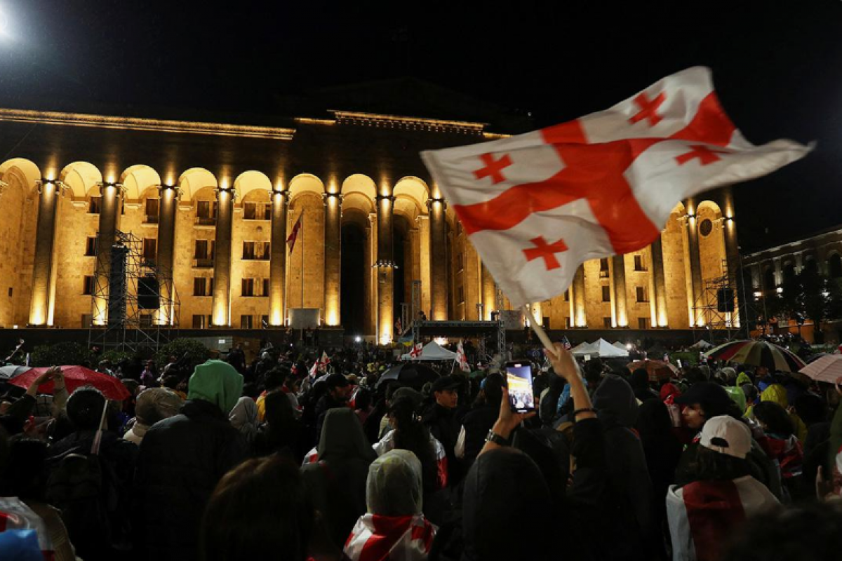 European MPs participate in protest rally in Tbilisi