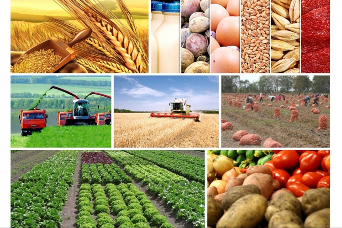 Agriculture production increased by about 2% in Azerbaijan