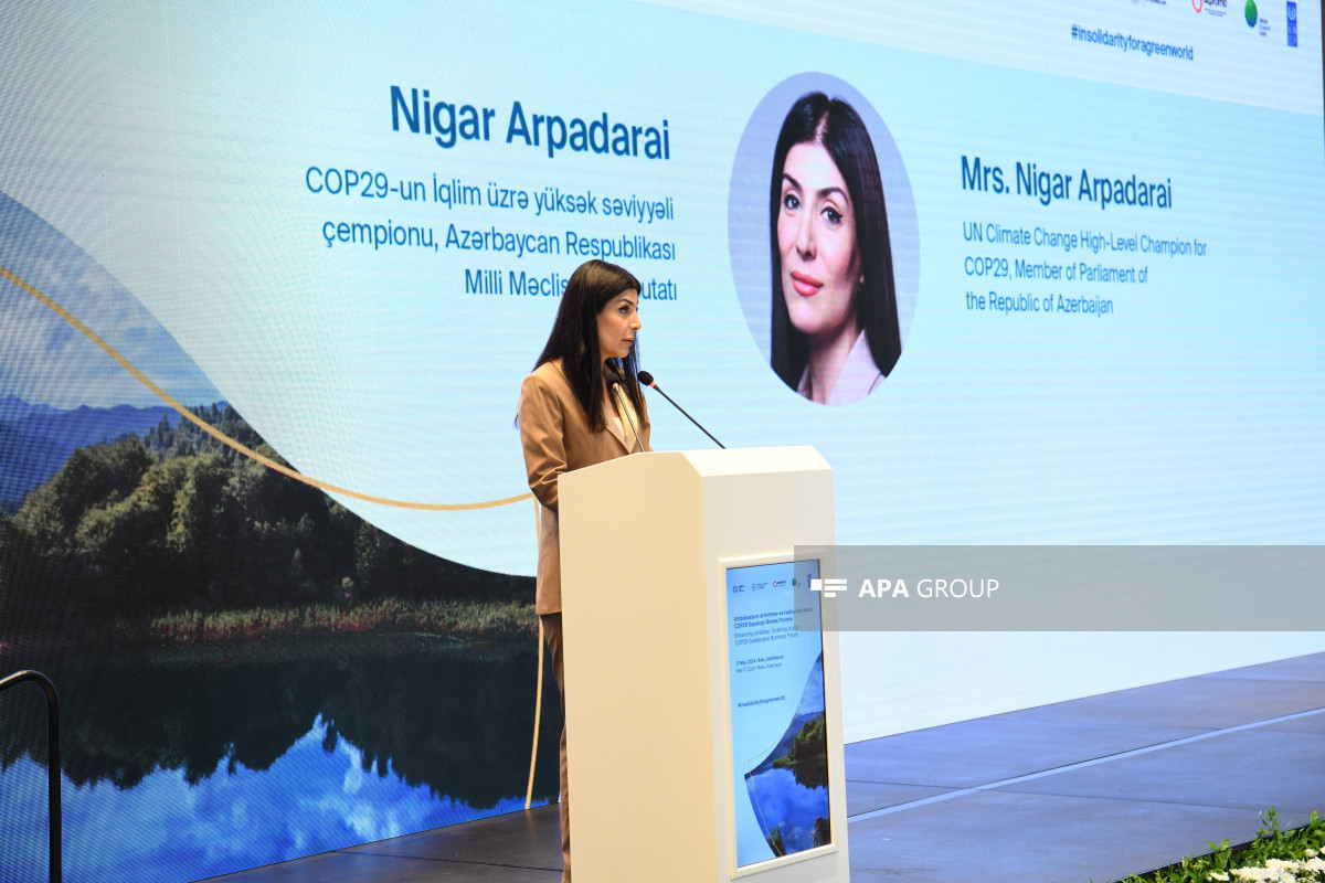 Nigar Arpadarai, Member of the Milli Majlis, UN High-Level Champion on Climate Change for COP29