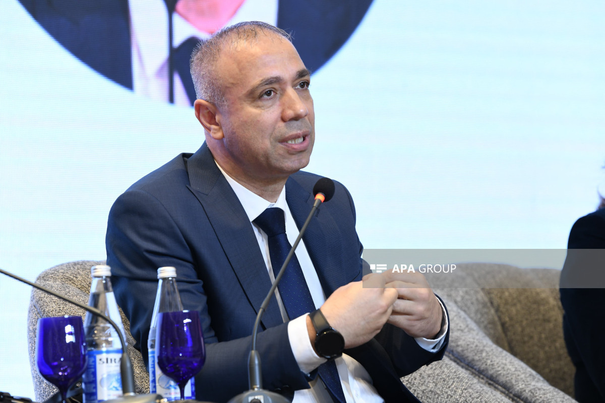 Elnur Sultanov, Deputy Minister of Energy, Chief Executive Officer of COP29 Azerbaijan