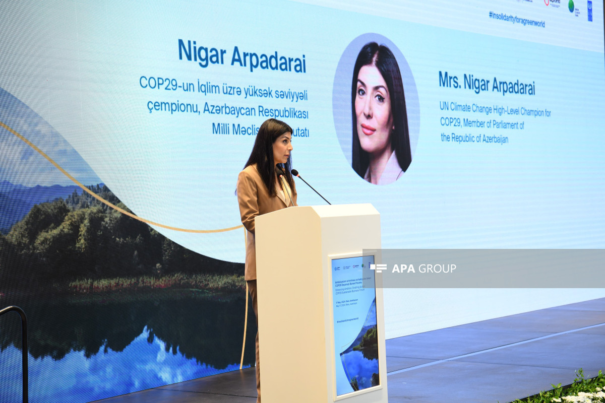 Azerbaijan demonstrates sensitive approach to global climate crisis - Vimarsana News