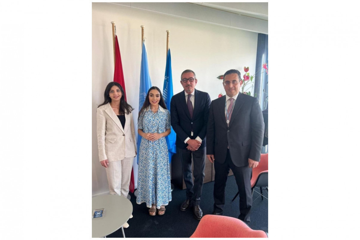 Vice president of Heydar Aliyev Foundation Leyla Aliyeva held meetings in UN office in Switzerland -PHOTO 