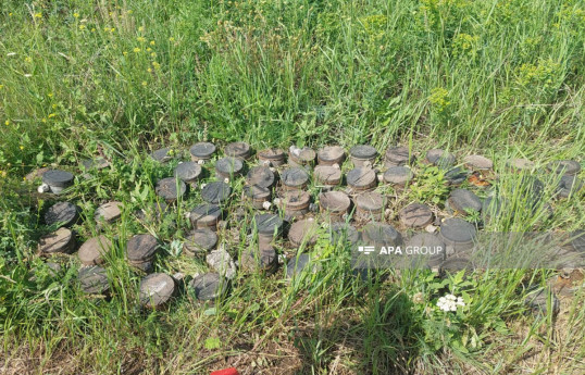Azerbaijan continues demining works in Baghanis-Ayrim village-PHOTO 