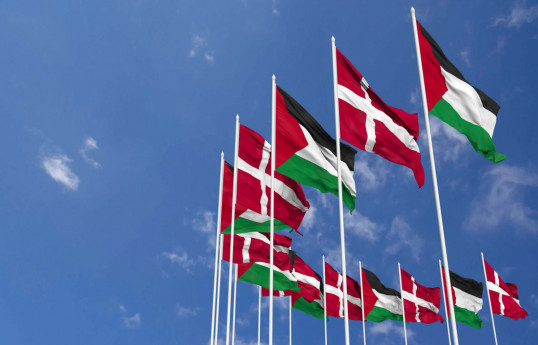 Danish parliament rejects proposal to recognise Palestinian state