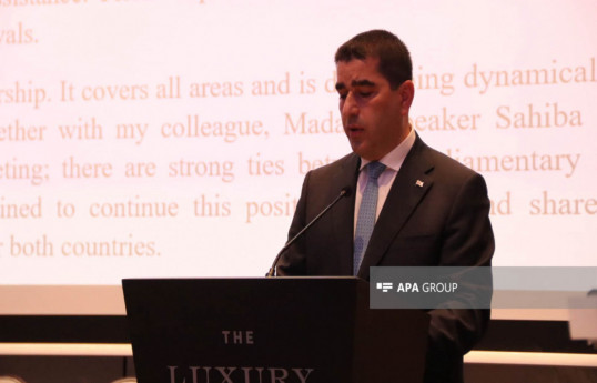 Speaker of Georgian Parliament Shalva Papuashvili