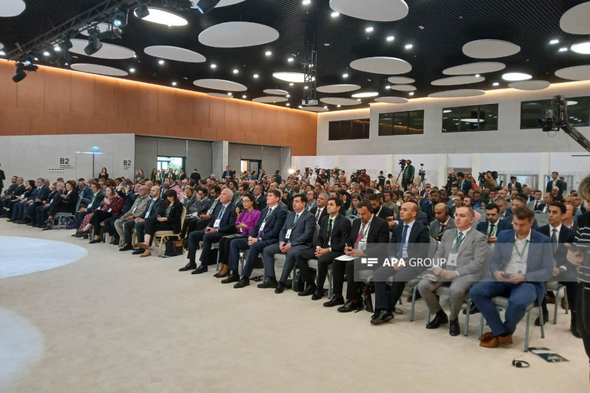Azerbaijan's Zangilan hosts III international humanitarian demining conference-PHOTO 