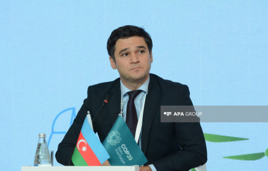 Elvin Ashrafzadeh, Lead Adaptation and Loss and Damage Negotiator for the COP29 Presidency