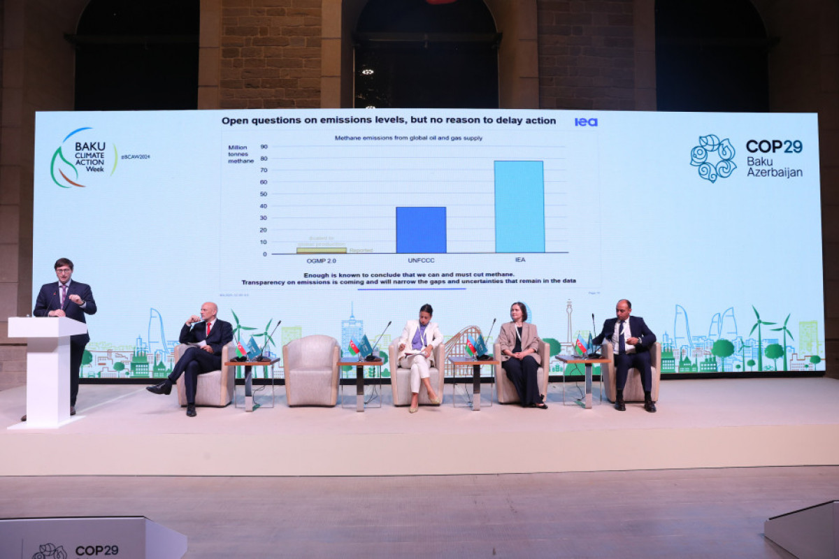 Technical workshop held as part of Baku Climate Action Week -PHOTO 