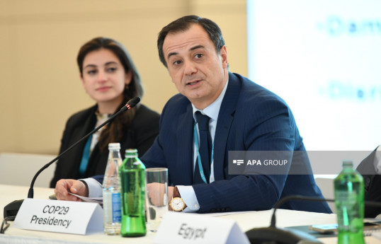 Elshad Iskandarov, an ambassador on special assignment of the Ministry of Foreign Affairs of Azerbaijan