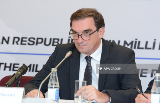 a member of Serbian National Assembly Života Starčević