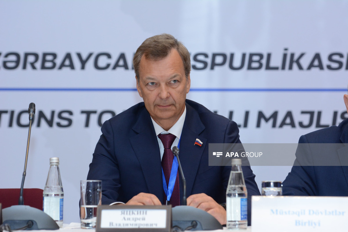 Andrey Yatskin, representative of the Interparliamentary Assembly of the Commonwealth of Independent States