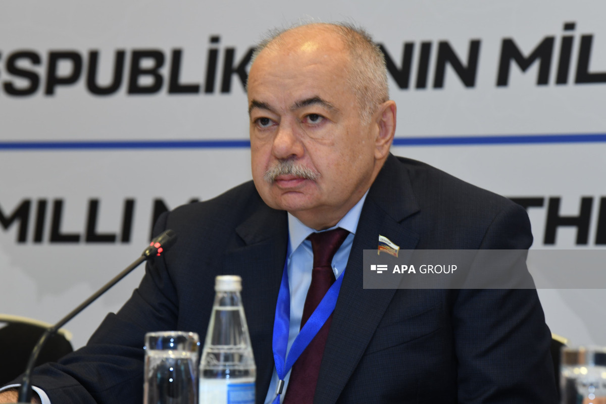 Russian Federation Council member: Russia is interested in the strength of neighboring states-PHOTO 