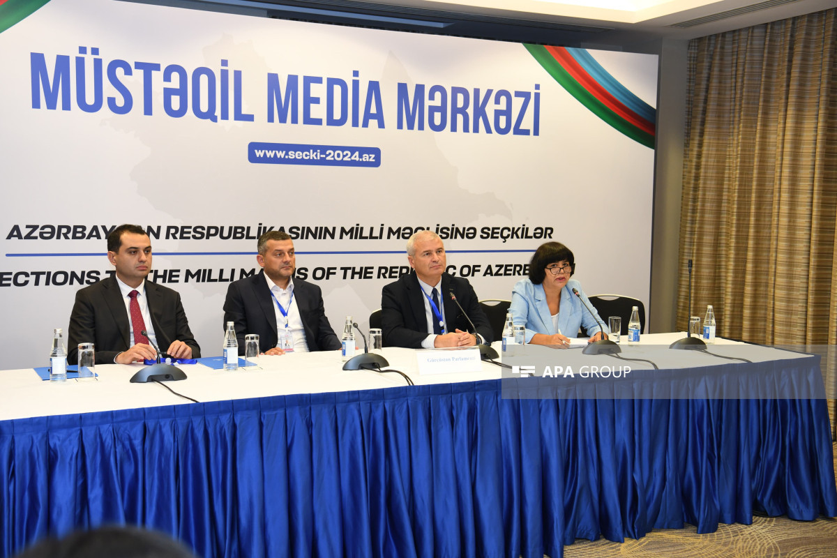 Georgian MP: Our delegation highly evaluates elections