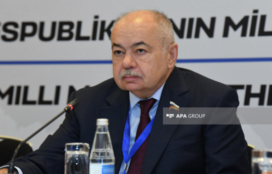 Russian Federation Council member: Russia is interested in the strength of neighboring states-PHOTO 