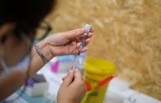 Portugal to start vaccination campaign against flu, COVID-19