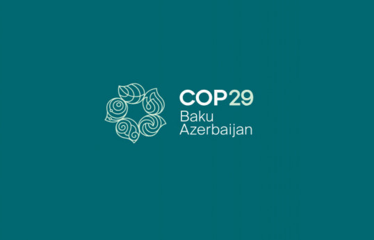 Travel expenses of members of Organizing Committee within COP29 to be calculated with an additional 50 percent