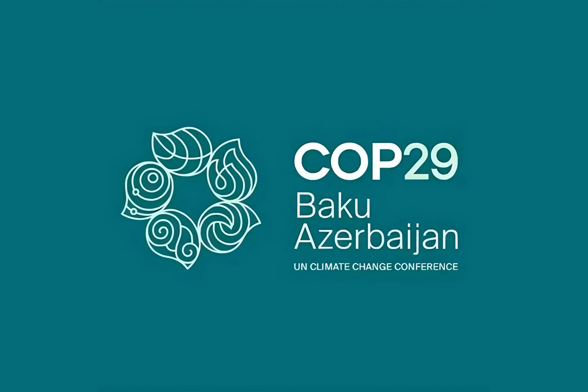 COP29 Volunteers Join Cleanup Campaign on the Caspian Sea’s Lankaran Coast
