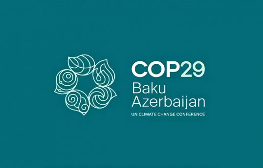 COP29 Volunteers Join Cleanup Campaign on the Caspian Sea’s Lankaran Coast