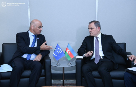 Azerbaijan's FM discusses cooperation prospects with the Secretary General of the Council of Europe-PHOTO 