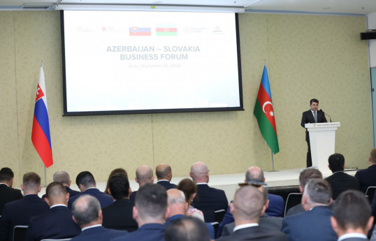 Azerbaijan explores practical aspects of gas supply and transportation with Slovakia