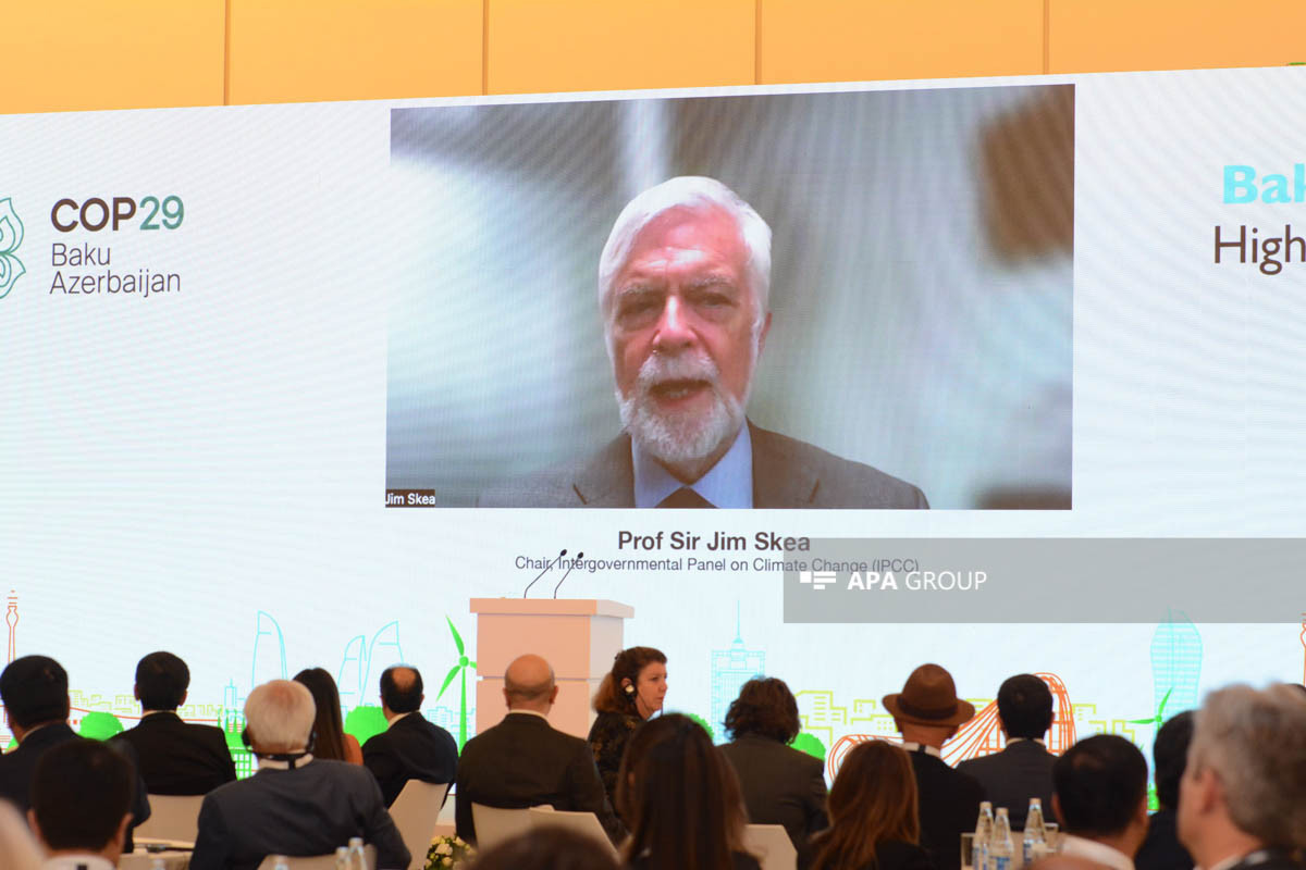 Jim Skea, Chair of the Intergovernmental Panel on Climate Change
