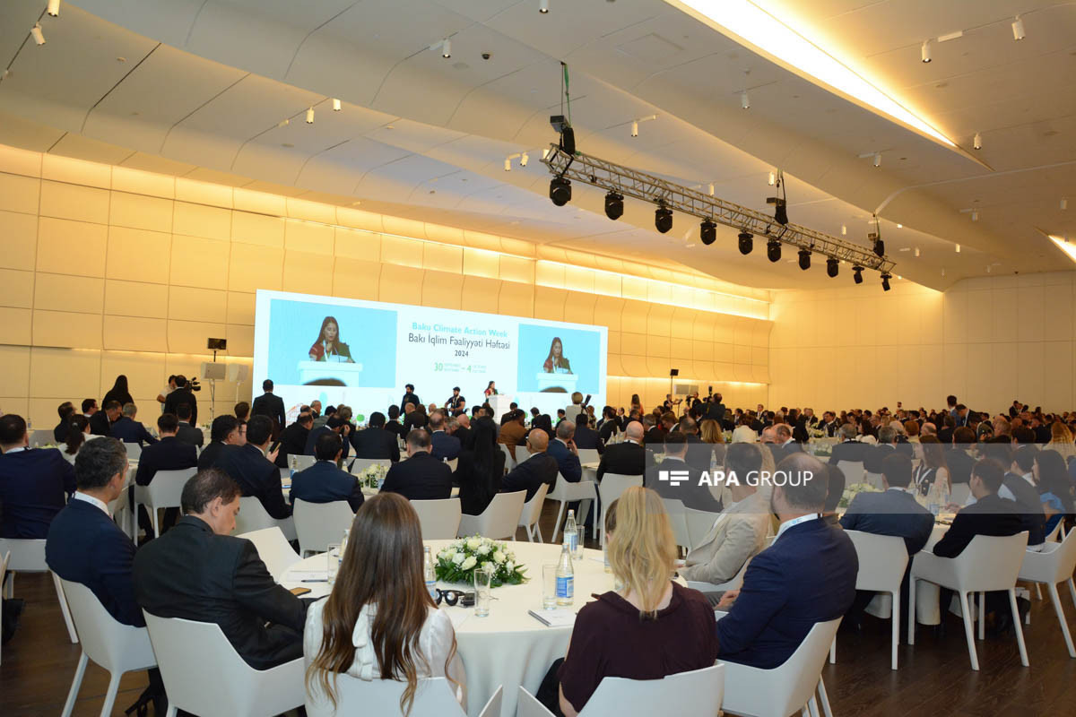 Bonn Mayor: We are interested in collaborating within COP29