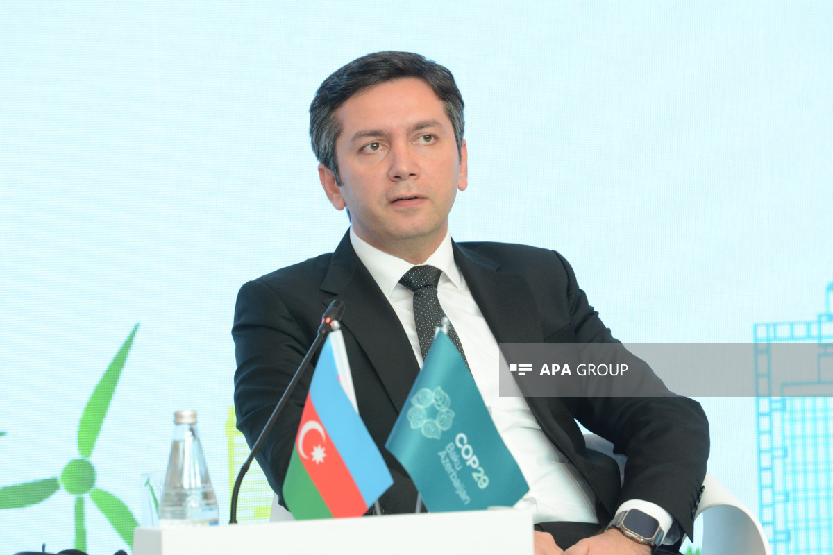 Yalchin Rafiyev, Deputy Minister of Foreign Affairs of Azerbaijan, Lead Negotiator for COP29