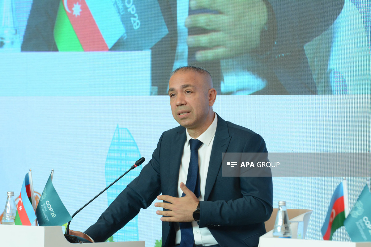 Elnur Soltanov, Deputy Minister of Energy of Azerbaijan, Chief Executive Officer of COP29
