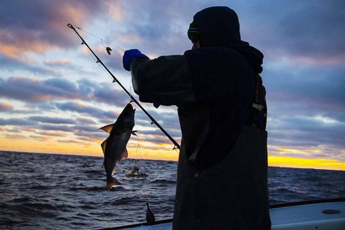 Azerbaijan bans fishing in inland water bodies starting today