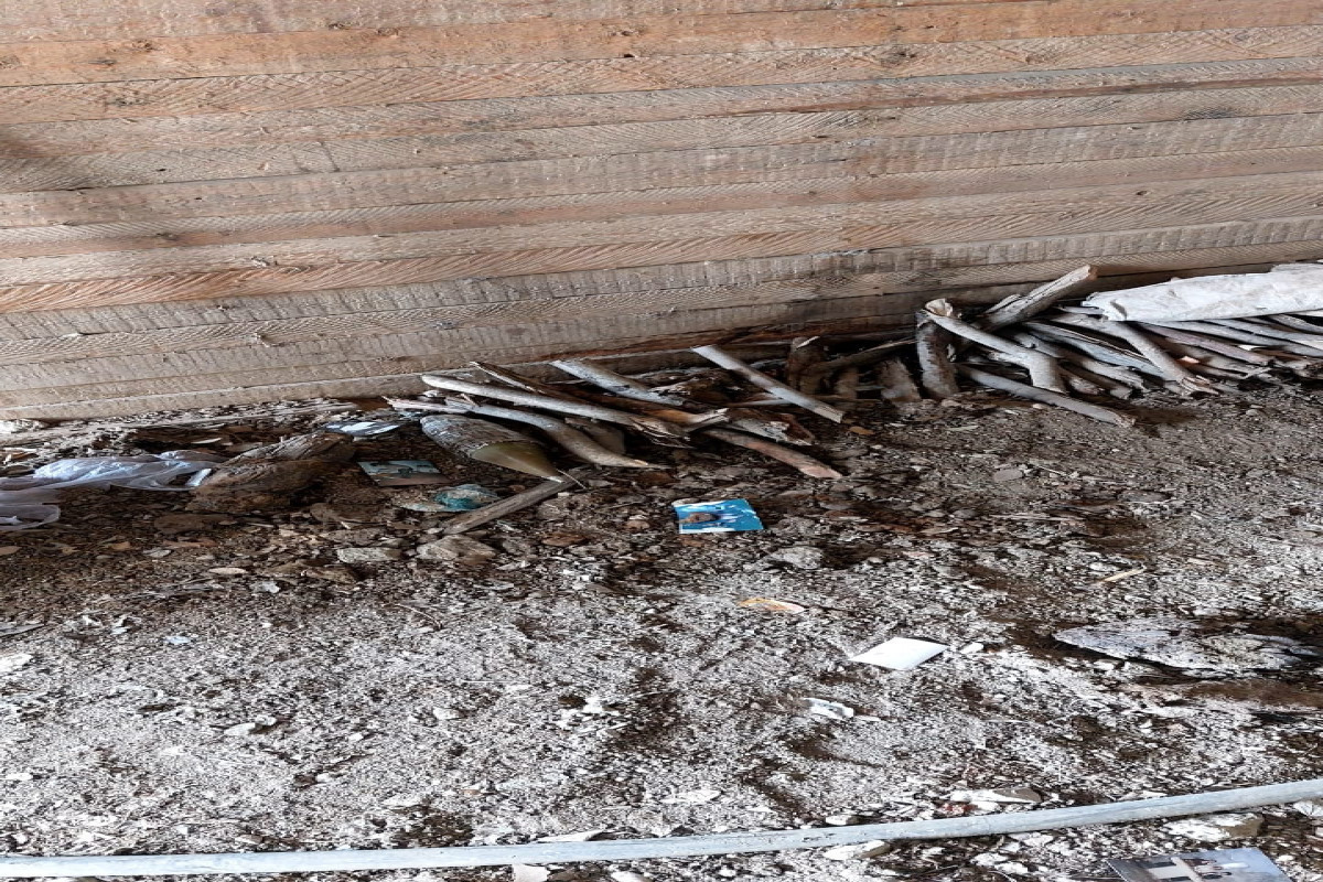 Explosive device discovered in Azerbaijan