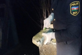 Azerbaijan seizes 10 kg of marijuana smuggled via UAV in Astara district, arrests suspect -PHOTO 