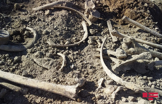 Bone fragments resembling human skeleton discovered in Azerbaijan's Aghdam