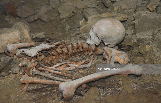 State Security Service takes Nizamaddin Mosque with human bones in its basement into custody