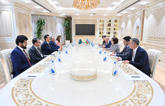 Speaker of Azerbaijani Parliament meets with Pakistani counterpart