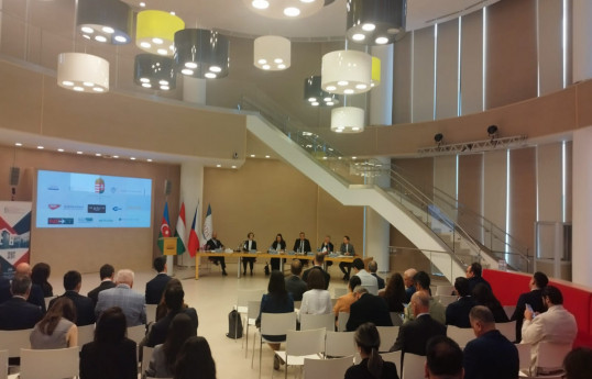 Hungarian company wants to participate in Azerbaijan's renewable energy sector