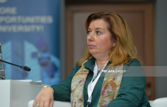 Marika Karagianni, a professor at Democritus University of Thrace in Greece