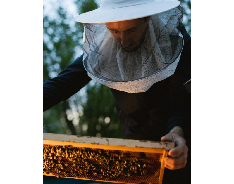 Leyla Aliyeva and Arzu Aliyeva meet participants of “Young beekeeper" project in Gabala