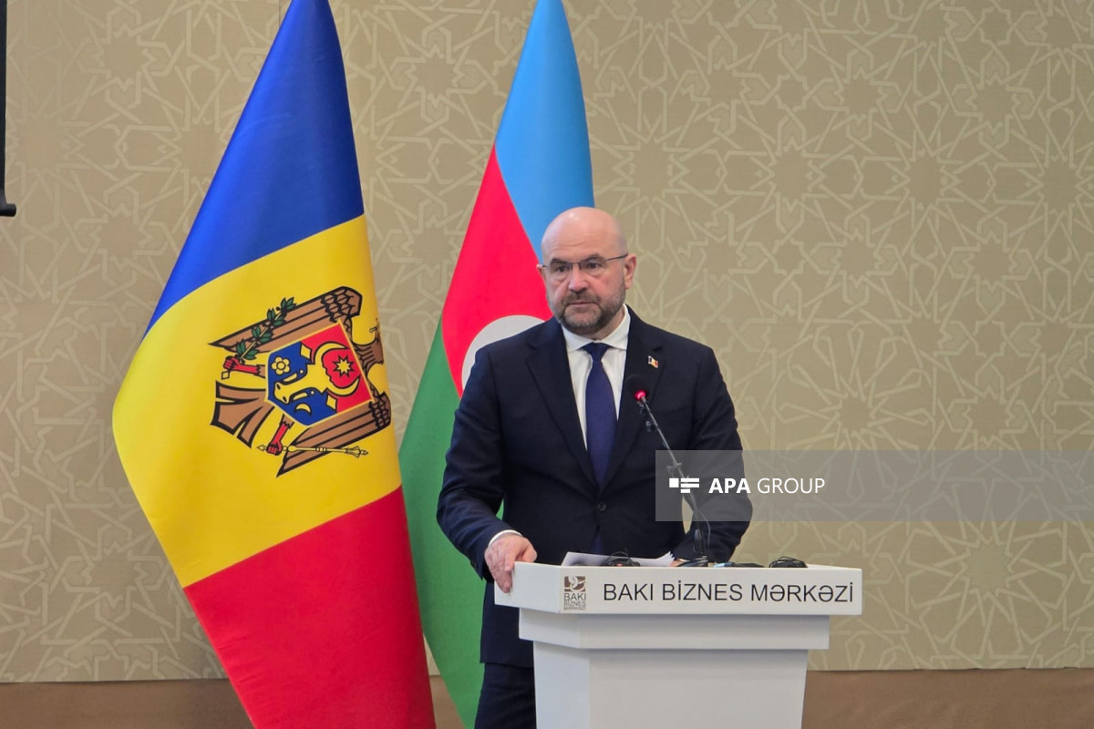 Vladimir Bolea, Moldova