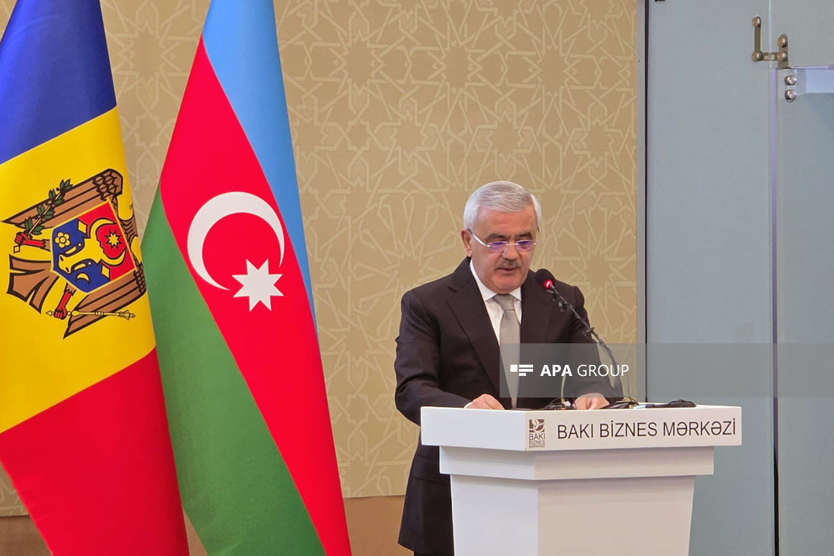 Rovnag Abdullayev, Deputy Minister of Economy