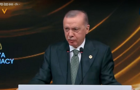 Recep Tayyip Erdoğan President of the Republic of Türkiye and Shehbaz Sharif, Pakistani Prime Minister