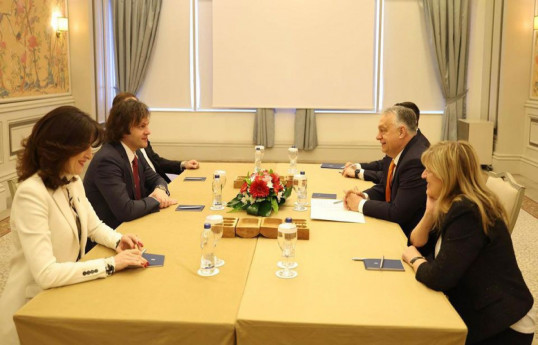 Difficulties in Georgia's European integration discussed in Antalya
