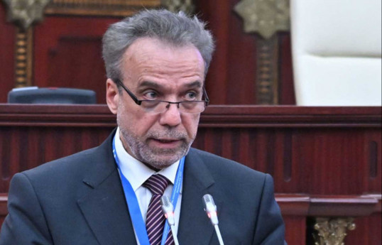 Süreyya Er, Secretary General of TURKPA