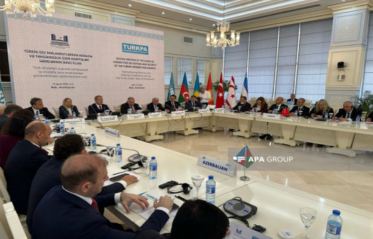 TRNC Parliament Committee Head: South Cyprus takes no action, has no intention to act
